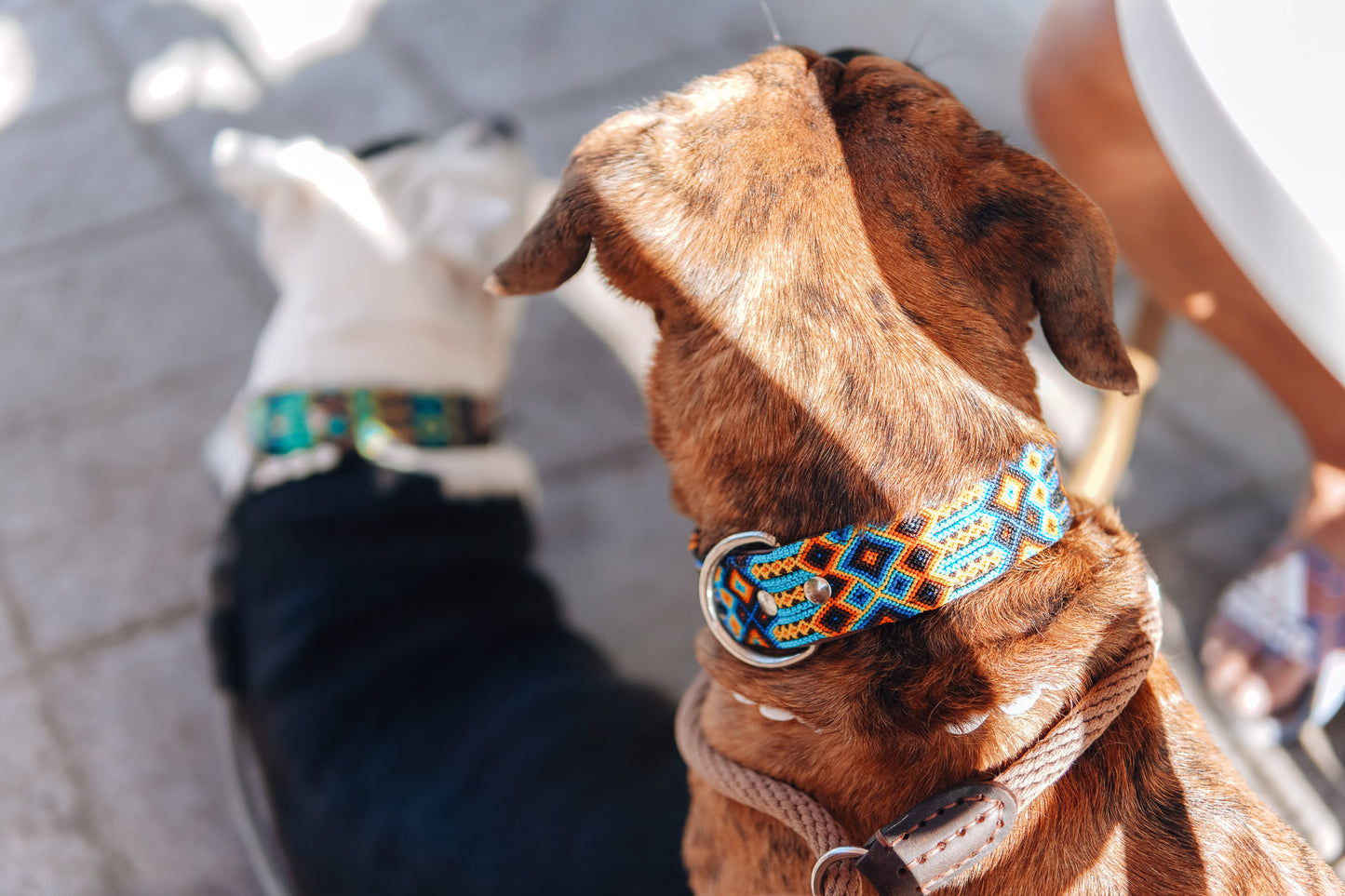 MEXICO HALSBAND NACHO